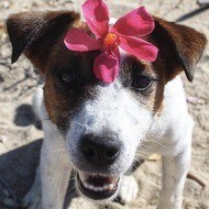Pets born May 21